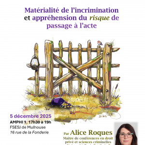 Les Conférences Juridiques de la Fonderie « Matérialité de l’incrimination et appréhension du risque de  passage à l’acte »