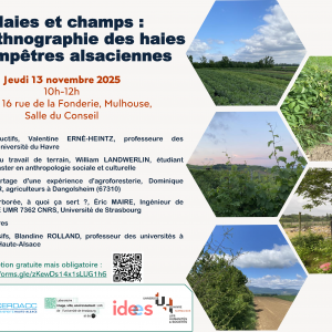 Conférence « Haies et champs : une ethnographie des haies champêtres alsaciennes »